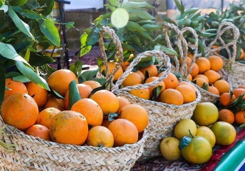 نقش استراتژیک باغداری در امنیت غذایی و ارزآوری/ فرصت طلایی اقتصاد کشاورزی ایران اخبار استان مازندران , اخبار ساری , نظام مسائل استان , نظام مسائل استان مازندران ,