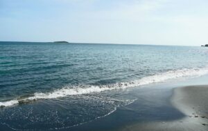 هجوم مارهای سمی به سواحل بابلسر؛ شایعه یا واقعیت؟ هجوم مارهای سمی به سواحل بابلسر؛ شایعه یا واقعیت؟