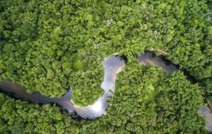 هزینه سفر به برزیل چقدر است؟ هزینه سفر به برزیل چقدر است؟