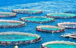 هزینه ۳ شب اقامت در هتل های چابهار چقدر است؟ + جدول هزینه ۳ شب اقامت در هتل های چابهار چقدر است؟ + جدول