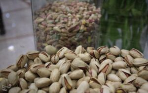 هستهای در کشاورزی ــ 65 | دفع حشرات «پسته» با فناوری هستهای هستهای در کشاورزی ــ 65 | دفع حشرات «پسته» با فناوری هستهای