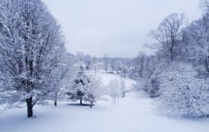 هشدار بارش سیلآسا و کولاک برف در ۶ استان؛ فردا سردترین روز سال است هشدار بارش سیلآسا و کولاک برف در ۶ استان؛ فردا سردترین روز سال است