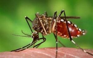 هشدار مهم به مسافران هرمزگان هشدار مهم به مسافران هرمزگان