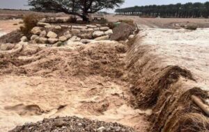 هشدار وقوع سیلاب در ۱۲ استان هشدار وقوع سیلاب در ۱۲ استان