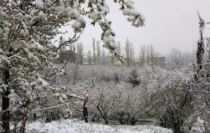 هشدار کاهش ۱۵ درجهای دما در ۲۲ استان با نفوذ توده هوای سرد از فردا هشدار کاهش ۱۵ درجهای دما در ۲۲ استان با نفوذ توده هوای سرد از فردا