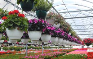 هلند ایران کجاست؟ + جاذبه های «محلات» هلند ایران کجاست؟ + جاذبه های «محلات»