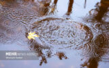 هواشناسی: استان اصفهان ۶۱ درصد کاهش بارندگی دارد هواشناسی: استان اصفهان ۶۱ درصد کاهش بارندگی دارد