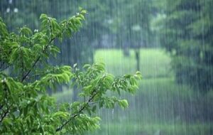 ورود سامانه بارشی از جنوب و بارش برف و باران در بیشتر استانها ورود سامانه بارشی از جنوب و بارش برف و باران در بیشتر استانها