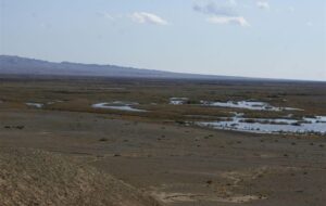 وضعیت نگرانکننده تالاب بندعلیخان؛ 2 مصوبه رسمی دولت و استان هنوز وارد مرحله اجرا نشده است وضعیت نگرانکننده تالاب بندعلیخان؛ 2 مصوبه رسمی دولت و استان هنوز وارد مرحله اجرا نشده است