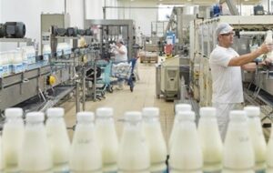 وعده دولت برای کاهش قیمت لبنیات و هشدار داغ درفش به صنایع وعده دولت برای کاهش قیمت لبنیات و هشدار داغ درفش به صنایع