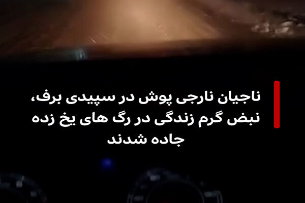 ویدئو| ناجیان نارجی پوش در سپیدی برف، نبض گرم زندگی در رگ های یخ زده جاده شدند نجات افراد گرفتار در برف