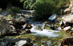 پایتختنشینها! این آبشار را حتما ببینید پایتختنشینها! این آبشار را حتما ببینید