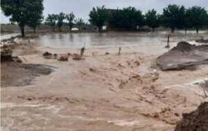 پایداری شرایط در مناطق سیلزده شرق هرمزگان/ بازگشایی راههای روستایی جاسک و سیریک پایداری شرایط در مناطق سیلزده شرق هرمزگان/ بازگشایی راههای روستایی جاسک و سیریک