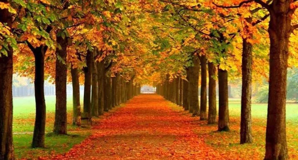 پاییز کجای شمال بریم؟ / معرفی و آدرس جاهای دیدنی شمال در پاییز پاییز کجای شمال بریم؟ / معرفی و آدرس جاهای دیدنی شمال در پاییز