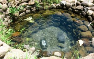 چاه آرزوی سه هزار ساله + عکس چاه آرزوی سه هزار ساله + عکس