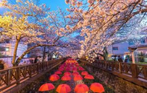 چرا کره جنوبی پیشرفت کرد؟ راز موفقیت یک معجزه اقتصادی چرا کره جنوبی پیشرفت کرد؟ راز موفقیت یک معجزه اقتصادی