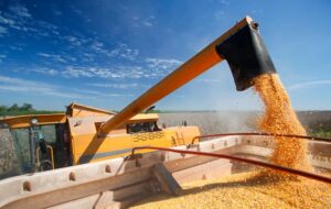 چشمانداز بازار غلات در سال ۲۰۲۶؛ کشاورزان به دانههای روغنی روی میآورند چشمانداز بازار غلات در سال ۲۰۲۶؛ کشاورزان به دانههای روغنی روی میآورند