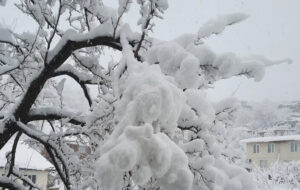 چهره برفی و زیبای کوهستان چالوس چهره برفی و زیبای کوهستان چالوس