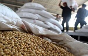 کاربرد فناوری هستهای در جلوگیری از فساد سویا در انبار کاربرد فناوری هستهای در جلوگیری از فساد سویا در انبار