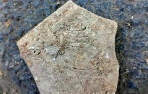 کشف اشیای باستانی در محوطه خیابان چهارباغ اصفهان/میراثفرهنگی مانع ادامه عملیات شد کشف اشیای باستانی در محوطه خیابان چهارباغ اصفهان/میراثفرهنگی مانع ادامه عملیات شد