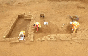 کشف شاخه گل و گردوی ۲ هزار ساله در معبد باستانی + عکس کشف شاخه گل و گردوی ۲ هزار ساله در معبد باستانی + عکس