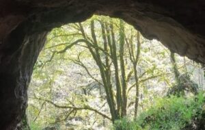 کشف عجیب در گیلان کشف عجیب در گیلان