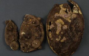 کشف یک گنج باورنکردنی / ۳ هزار سکه و ۵۰ جواهر شگفتانگیز پیدا شد! کشف یک گنج باورنکردنی / ۳ هزار سکه و ۵۰ جواهر شگفتانگیز پیدا شد!