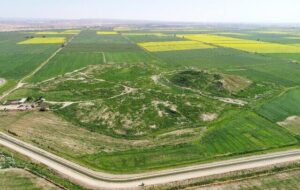 کشف یک گنج تازه در غرب ایران کشف یک گنج تازه در غرب ایران