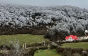 کلاردشت را در بهار هیچ وقت اینگونه برفی و زیبا ندیده اید + عکس کلاردشت را در بهار هیچ وقت اینگونه برفی و زیبا ندیده اید + عکس