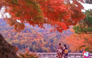 کیوتو؛ رنگارنگترین شهر ژاپن در فصل پاییز + عکس کیوتو؛ رنگارنگترین شهر ژاپن در فصل پاییز + عکس