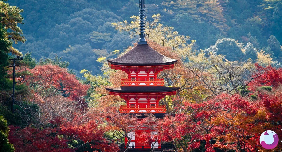 کیوتو؛ رنگارنگترین شهر ژاپن در فصل پاییز + عکس کیوتو؛ رنگارنگترین شهر ژاپن در فصل پاییز + عکس