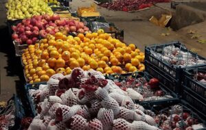 گرانی سفره یلدا در آخرین روزهای پاییز؛ از فراوانی میوه و خشکبار تا جیب خالی مردم گرانی سفره یلدا در آخرین روزهای پاییز؛ از فراوانی میوه و خشکبار تا جیب خالی مردم