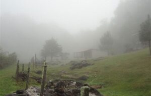 گردشگری پاییزی| ماجراجویی در قلب طبیعت بکر غرب ایران/ سفر به جغرافیای آرامش با چالش “مه” گردشگری پاییزی| ماجراجویی در قلب طبیعت بکر غرب ایران/ سفر به جغرافیای آرامش با چالش “مه”