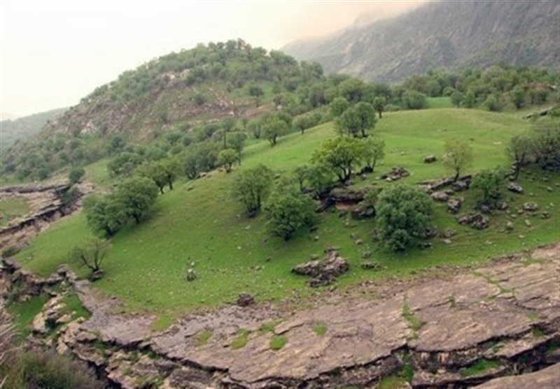 گردشگری پاییزی| ماجراجویی در قلب طبیعت بکر غرب ایران/ سفر به جغرافیای آرامش با چالش "مه" اخبار استان ایلام , سازمان میراث فرهنگی، صنایع دستی و گردشگری , وزارت میراث فرهنگی، گردشگری و صنایع دستی ,