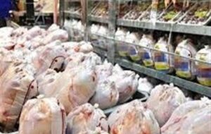 گزارش میدانی تسنیم|مرغ روی ریل گرانی؛ نظارت در ایستگاه غایب گزارش میدانی تسنیم|مرغ روی ریل گرانی؛ نظارت در ایستگاه غایب