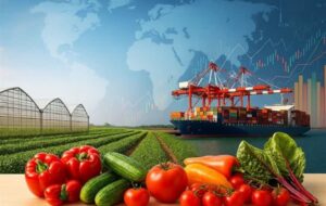 گفتوگو |صادرات محصولات گلخانهای استان مرکزی به 16 میلیون دلار رسید گفتوگو |صادرات محصولات گلخانهای استان مرکزی به 16 میلیون دلار رسید