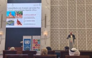 گفتگوی منطقهای کشورهای غرب آسیا در زمینه پایش تنوعزیستی گفتگوی منطقهای کشورهای غرب آسیا در زمینه پایش تنوعزیستی