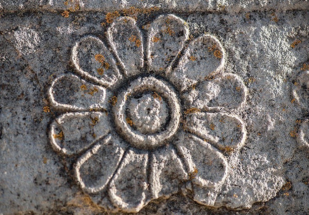 گلسنگ ها در تخت جمشید نفوذ کرده اند/ نبود بودجه کار مرمت را کند کرده است گلسنگ ها در تخت جمشید نفوذ کرده اند/ نبود بودجه کار مرمت را کند کرده است