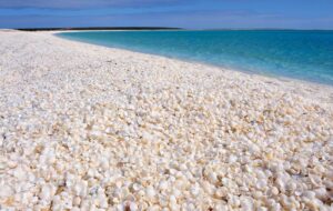 ۴ شب اقامت در هتل های قشم چقدر هزینه دارد؟ + جدول ۴ شب اقامت در هتل های قشم چقدر هزینه دارد؟ + جدول