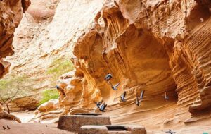 ۴ شب سفر با تور ارزان قشم ( ویژه تعطیلات خرداد ماه) + جدول قیمت ۴ شب سفر با تور ارزان قشم ( ویژه تعطیلات خرداد ماه) + جدول قیمت