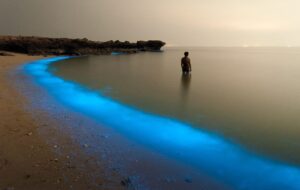 ۴ شب سفر رفت و برگشت زمینی به قشم چقدر پول می خواد؟ + جدول قیمت ۴ شب سفر رفت و برگشت زمینی به قشم چقدر پول می خواد؟ + جدول قیمت