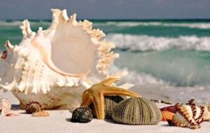 ۵ شب سفر رفت و برگشت با قطار به قشم چقدر هزینه دارد؟ + جدول قیمت ۵ شب سفر رفت و برگشت با قطار به قشم چقدر هزینه دارد؟ + جدول قیمت