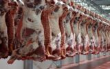 ۹۰ درصد گوشت قرمز از داخل تأمین می‌شود