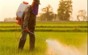 8 محصول جدید به سبد آفتکش گیاهی اضافه میشود 8 محصول جدید به سبد آفتکش گیاهی اضافه میشود