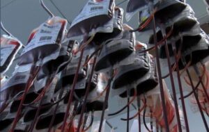 آخرین وضعیت ذخایر خون کشور؛ چرا بعضی استانها همیشه در وضعیت هشدارند؟ آخرین وضعیت ذخایر خون کشور؛ چرا بعضی استانها همیشه در وضعیت هشدارند؟