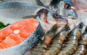 آزادسازی ارز بر صنعت آبزیان اثرات مثبت دارد | افزایش یک درصدی صادرات در ۹ ماهه ۱۴۰۴ آزادسازی ارز بر صنعت آبزیان اثرات مثبت دارد | افزایش یک درصدی صادرات در ۹ ماهه ۱۴۰۴