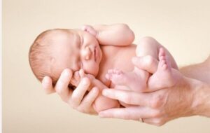 آیا زعفران میتواند باعث سقط جنین شود؟ آیا زعفران میتواند باعث سقط جنین شود؟