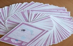 اخذ ۱۱۱ فقره سند تک برگ برای اراضی ملی در امیدیه خوزستان اخذ ۱۱۱ فقره سند تک برگ برای اراضی ملی در امیدیه خوزستان