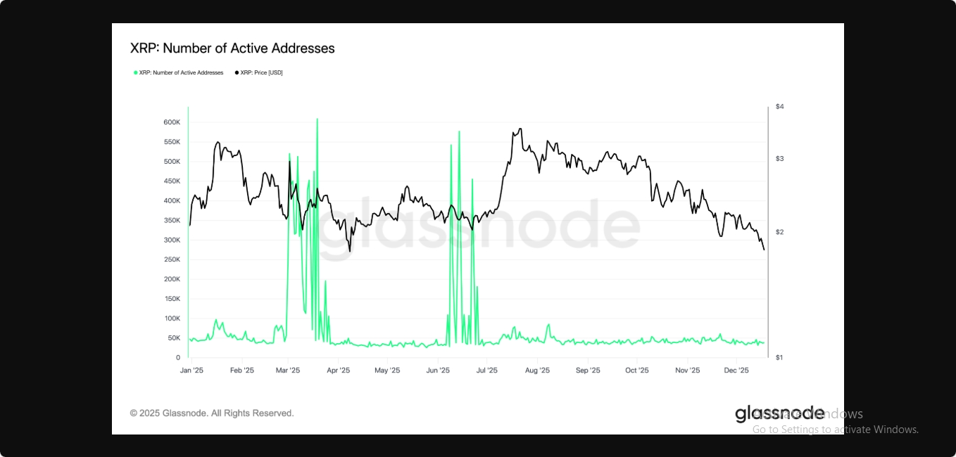 ارتش ریپل همه چیز را به جز قیمت ۵ دلار به دست آورد: آیا ۲۰۲۶ تحویل خواهد داد؟ ارتش ریپل همه چیز را به جز قیمت ۵ دلار به دست آورد: آیا ۲۰۲۶ تحویل خواهد داد؟