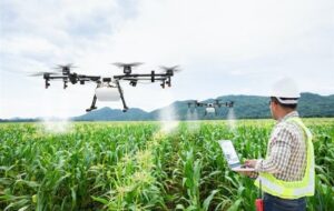 انرژی هستهای و کشاورزی نوین؛ راهکاری برای کشاورزی پایدار انرژی هستهای و کشاورزی نوین؛ راهکاری برای کشاورزی پایدار